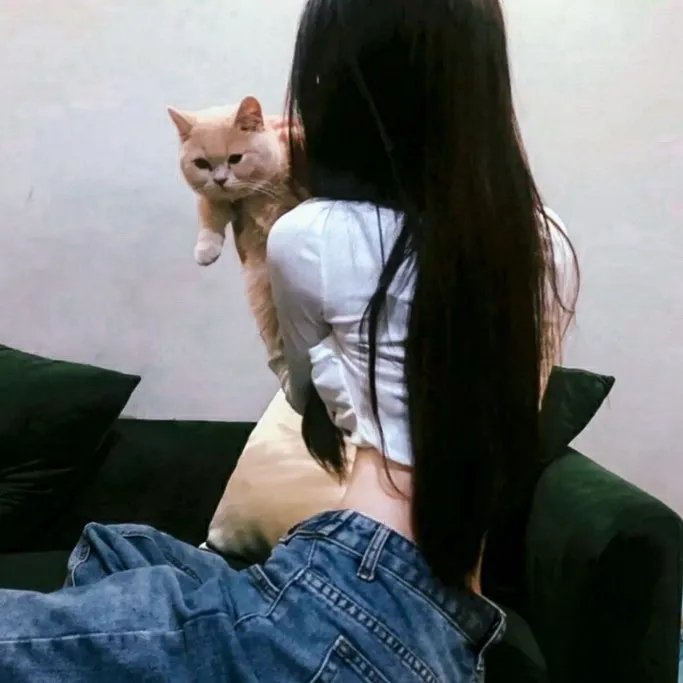 猪猪侠之囧囧危机